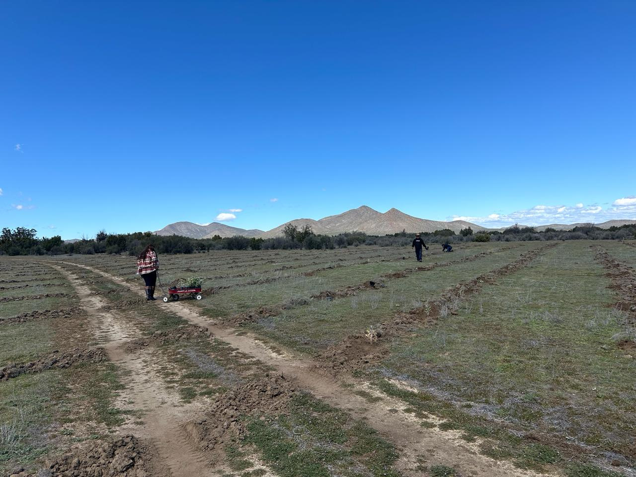 Galería Rancho Las Liebres