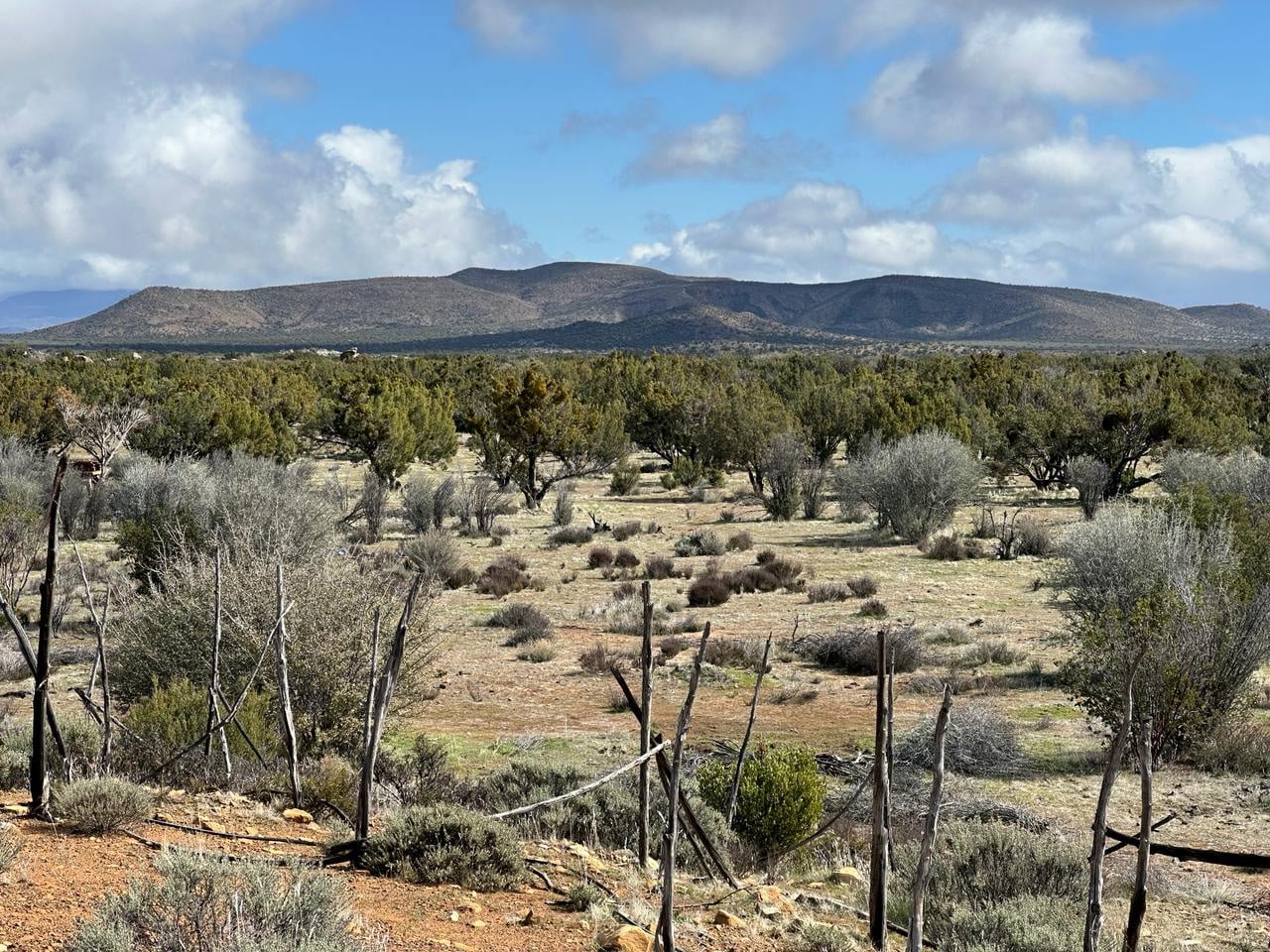 Galería Rancho Las Liebres