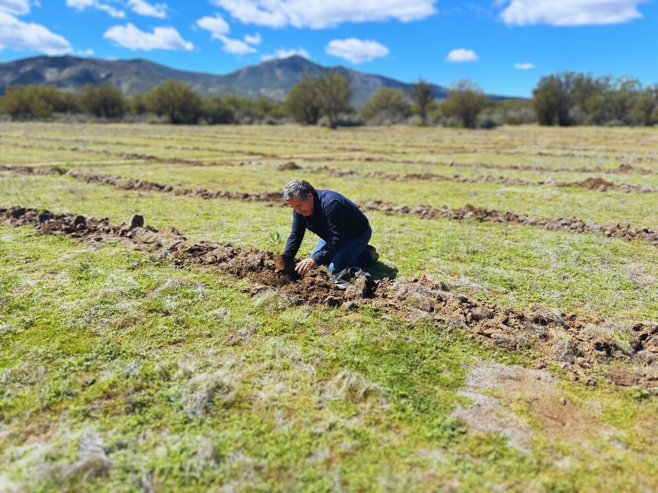 Galería Rancho Las Liebres